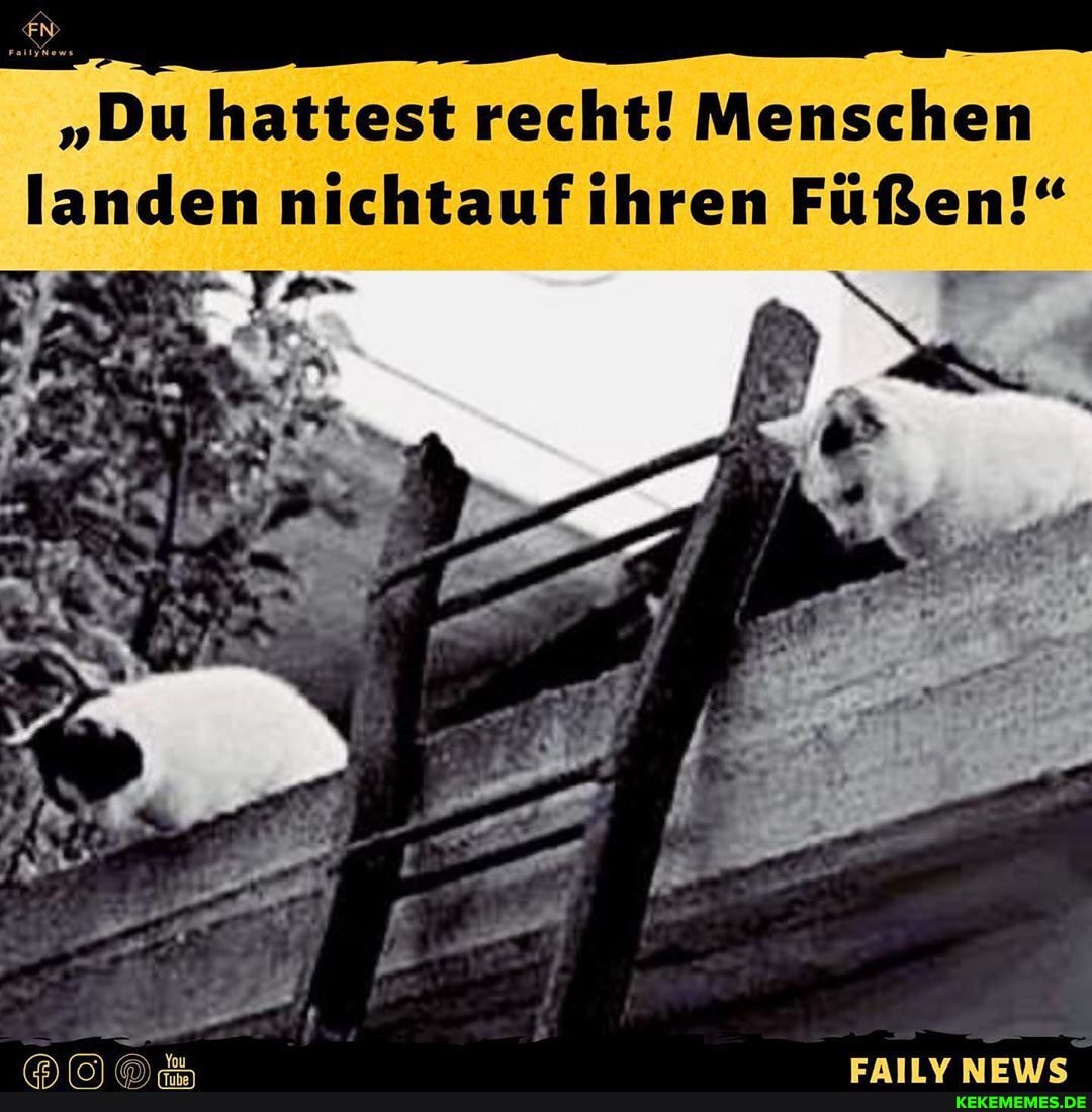 "Du hattest recht! Menschen landen nichtauf ihren Füßen!"