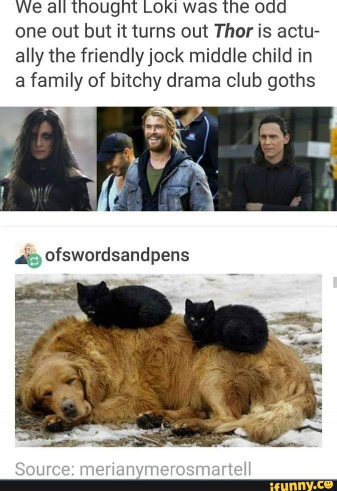 We all thought Loki was the oad
one out but it turns out Thor is actu-
ally the friendly jock middle child in
a family of bitchy drama club goths
Source: merianymerosmartell