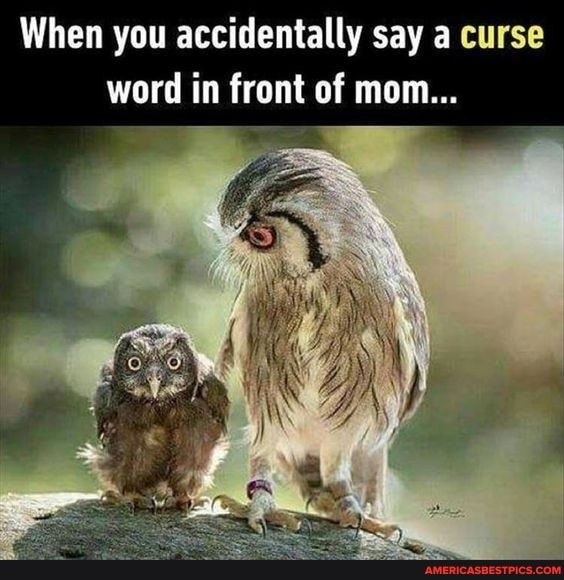 When you accidentally say a curse word in front of mom...
