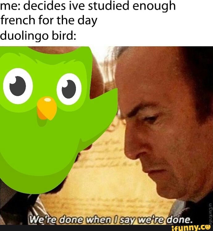 me-decides-ive-studied-enough-french-for-the-day-duolingo-bird-ifunny