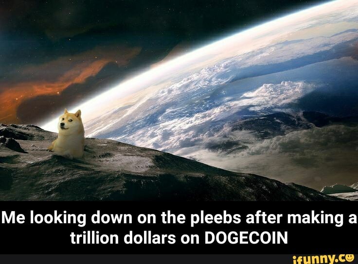 Me looking down on the pleebs after making a trillion dollars on DOGECOIN - Me looking down on the pleebs after making a trillion dollars on DOGECOIN