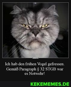 Ich hab den frühen Vogel gefressen.
Gemäß Paragraph $ 32 STGB war es Notwehr!
