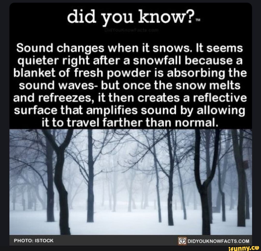 Did you know?. Sound changes when it snows. It seems quieter right after a snowfall because a