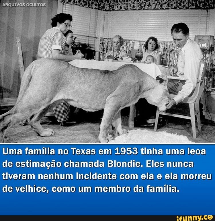 ARQUIVOS
Uma família no Texas em 1953 tinha uma leoa de estimação chamada Blondie. Eles nunca tiveram nenhum incidente com ela e ela morreu de velhice, como um membro da família.