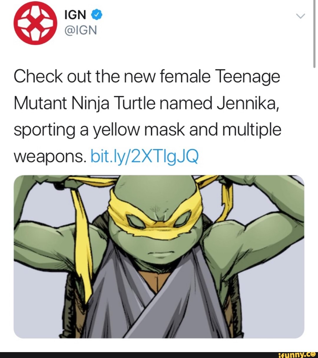 Check out the new female Teenage Mutant Ninja Turtle named Jennika