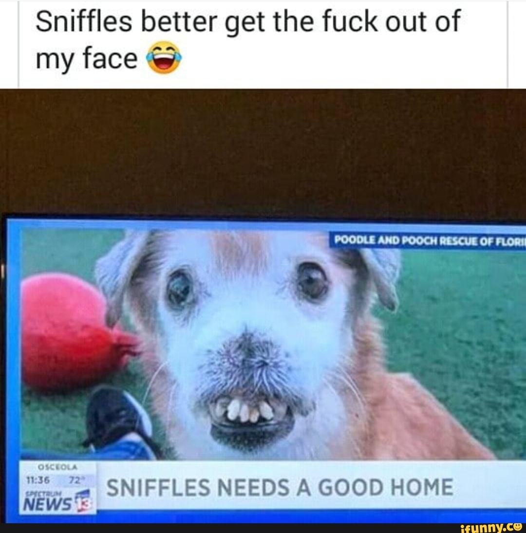 Sniffles Better Get The Fuck Out Of My Face Fd 3 A Sniffles Needs A Good Home News Ifunny