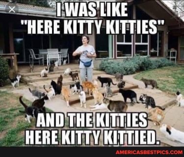 IWASLIKE
"HERE KITTY KITT
AND TRE KITTIES HERE KITEY KITTICD.