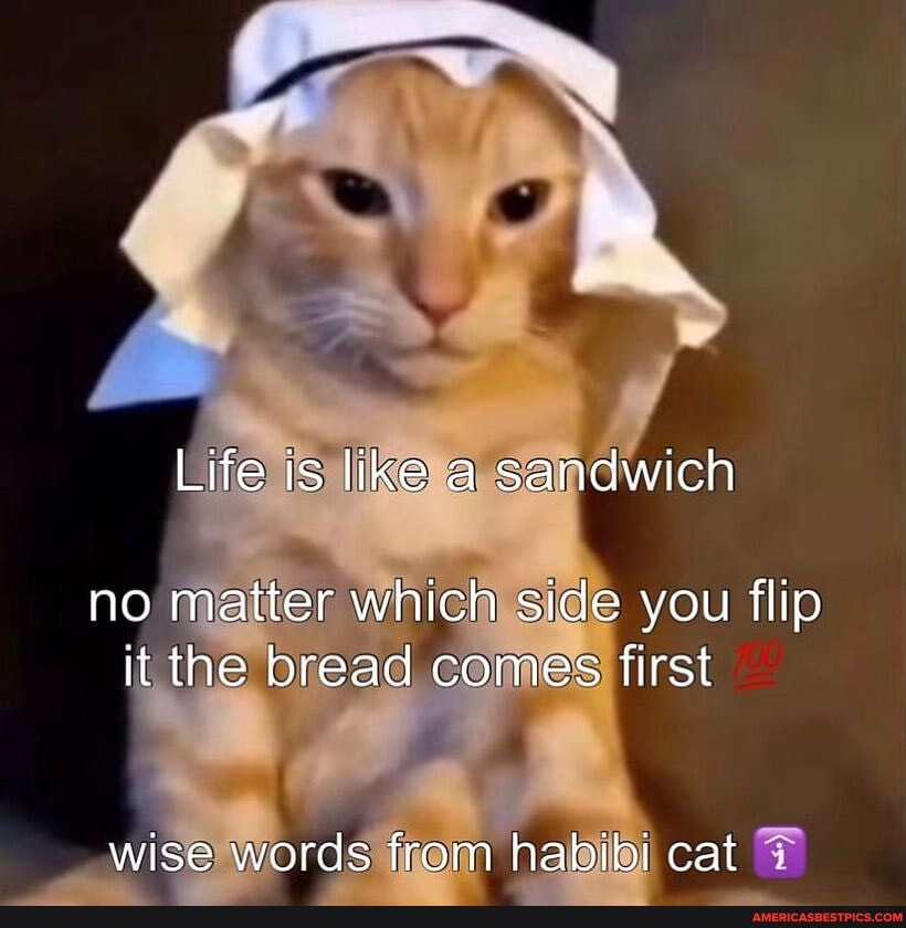 LIFE is Like a Sandwich No Matter Which Way You Flip It the BREAD Comes  First 