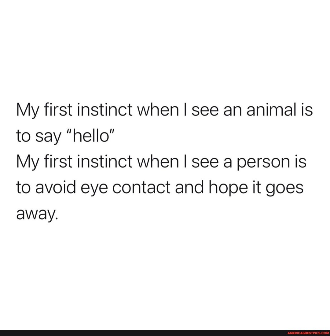 My first instinct when I see an animal is to say "hello"
My first instinct when I see a person is to avoid eye contact and hope it goes
away.