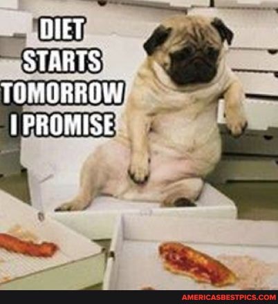 DIET STARTS TOMORROW PROMISE