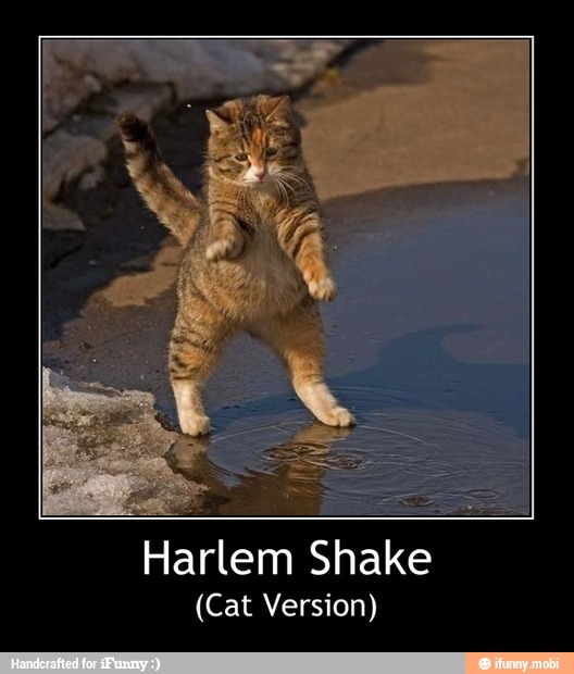 (Cat Version) - Harlem Shake
(Cat Version)