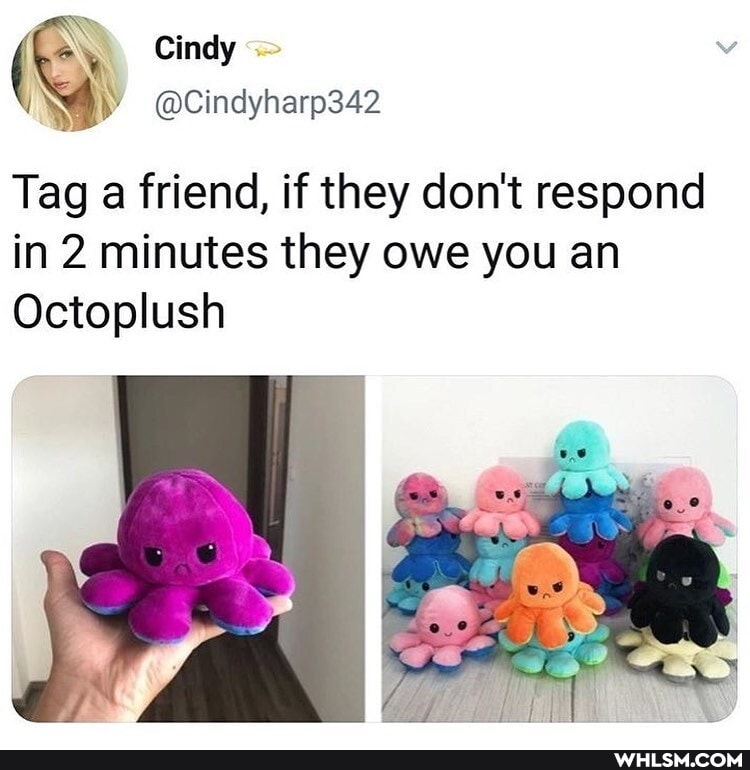 (G Cindy iN @Cindyharp342
Tag a friend, if they don't respond in 2 minutes they owe you an
Octoplush