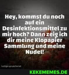 Hey, kommst du noch ein
Desinfektionsmittel zu mir hoch? Dann zeig ich dir meine Klopapier
Sammlung meine
Nudel!