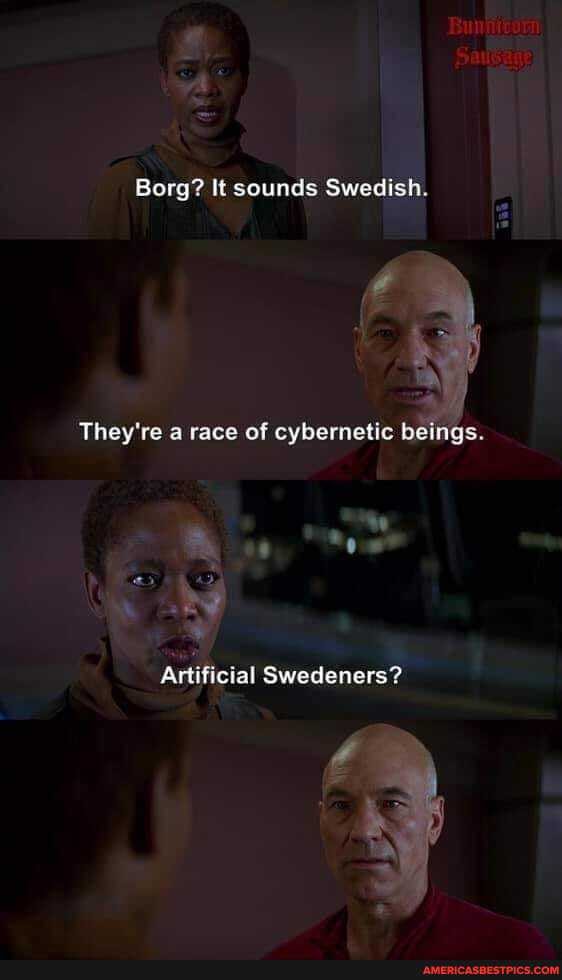 Borg? It sounds Swedish.
They're a race of cybernetic beings.
Artificial Swedeners?