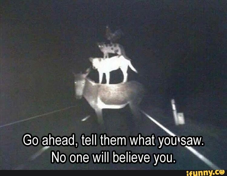 Go ahead, tell them what you'saw.
No one will believe you.
