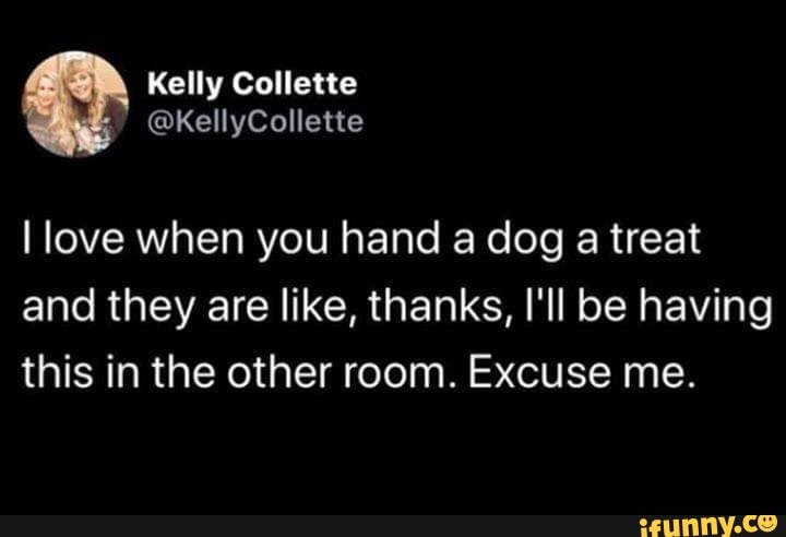 I love when you hand a dog
a treat
and they are like, thanks, I'll be having
this in the other room. Excuse me.