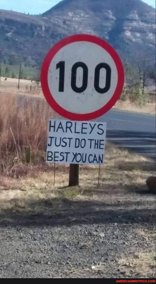 HARLEYS,
/ JUST DO THE =