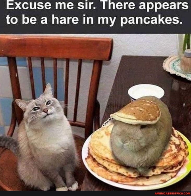 Excuse me sir. [here appears to be a hare in my pancakes.