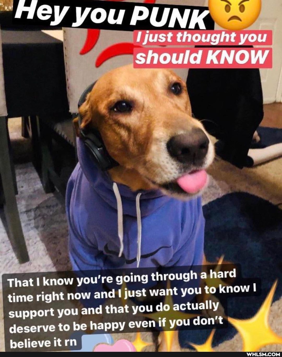 Hey you PUNK
[just thought you
should KNOW
That know you're going through a hard
time right now and I just want you to know I support you and that you do actually deserve to be happy even if you don't
hellove it rn