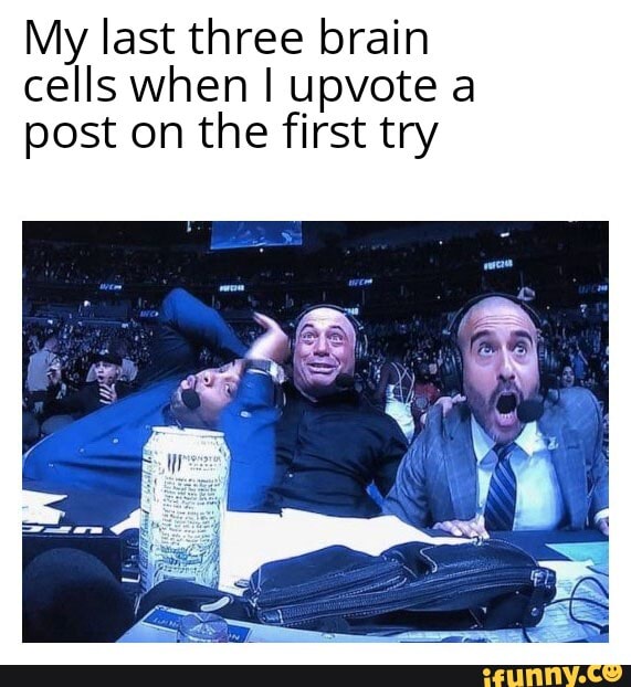 My last three brain cells when I upvote a post on the first try - iFunny