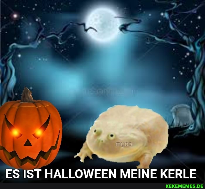 ES IST HALLOWEEN MEINE KERLE