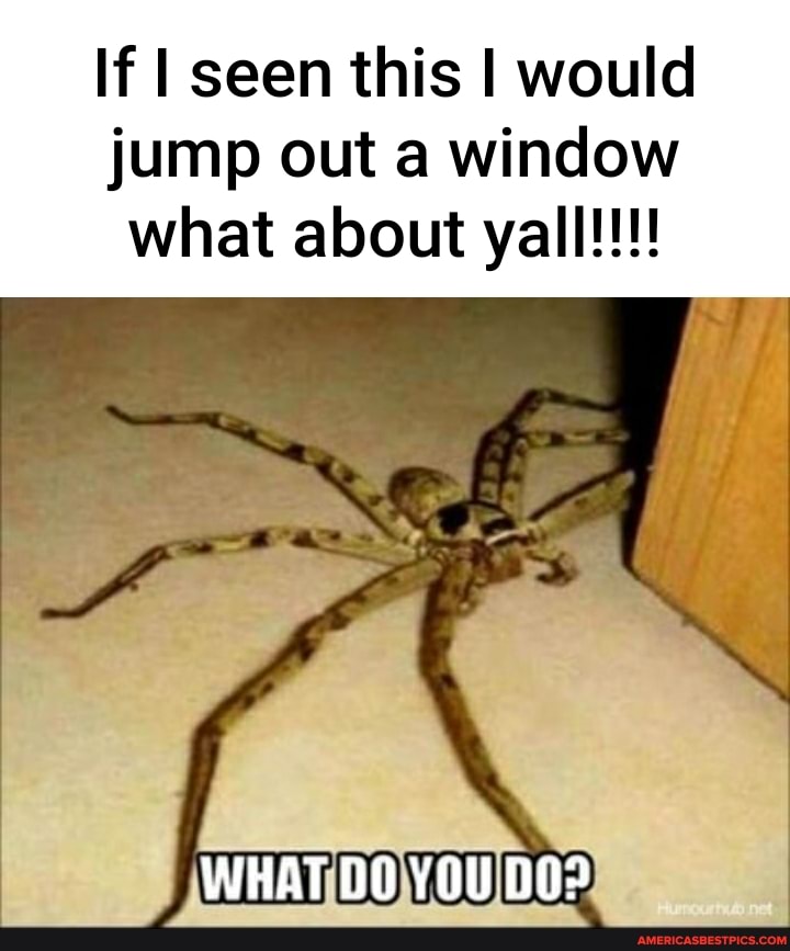 If I seen this I would
jump out a window what about yall!!!
WHAT DO YOU