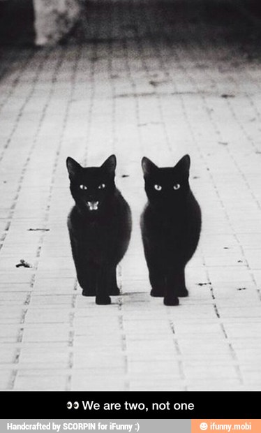 29 We are two, not one - π We are two, not one