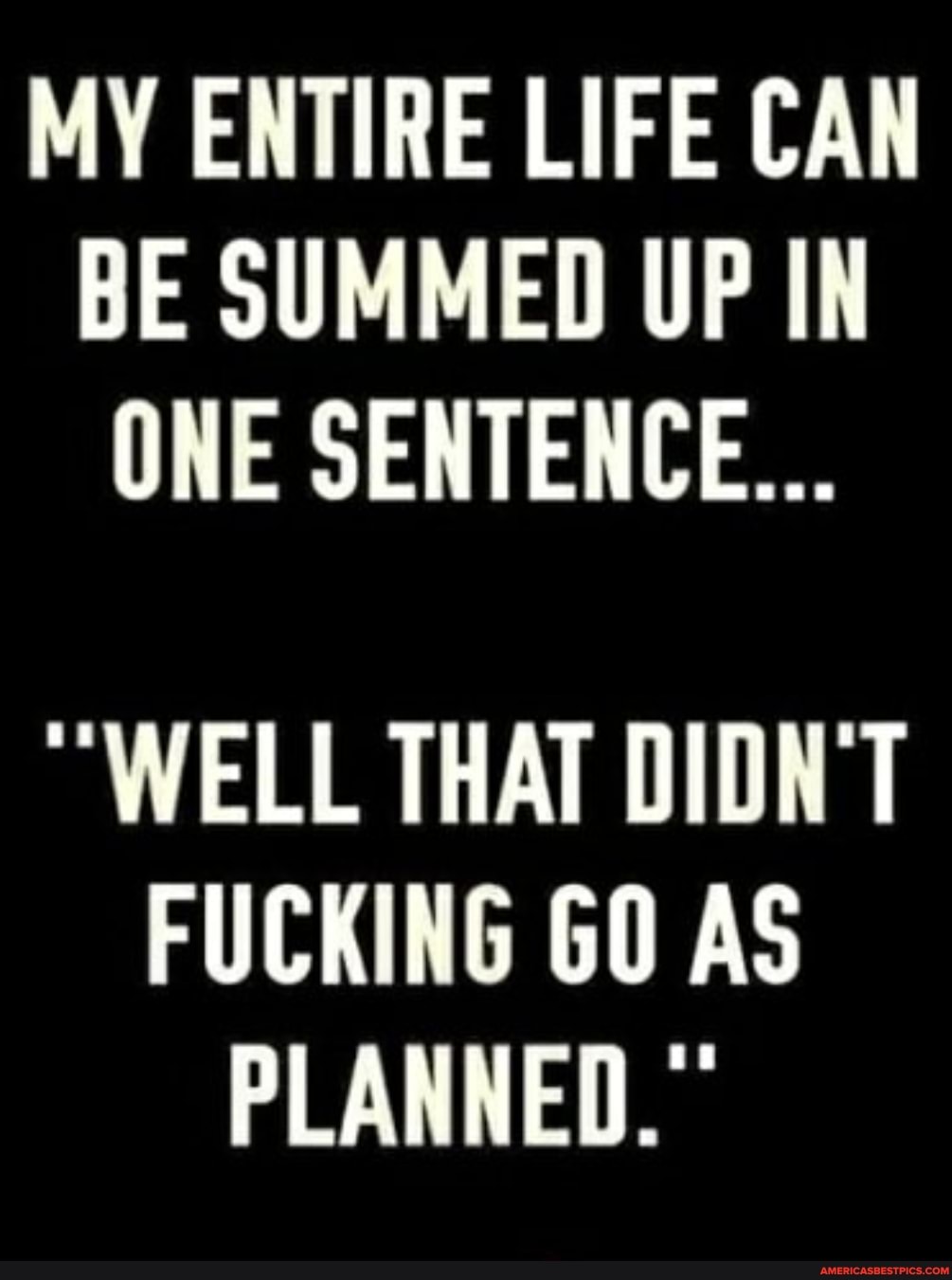 MY ENTIRE LIFE CAN BE SUMMED UP IN ONE SENTENCE...
WELL THAT DIDN'T FUCKING GO AS PLANNED."