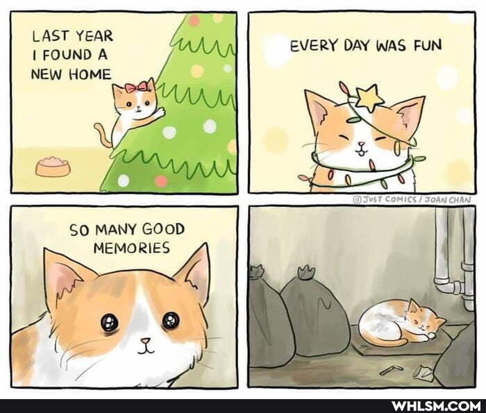 LAST YEAR FOUND A NEW HOME
ed
SO MANY GOOD MEMORIES
EVERY DAY WAS FUN