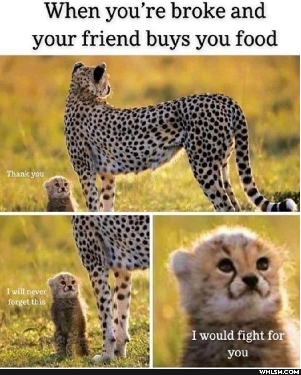 When you're broke and
your friend buys you food
Thank you
forget this
\ Q
lS
would fight for you