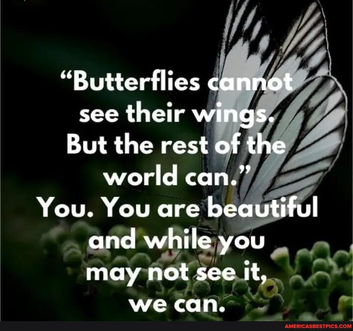"Butterflies cannot see their wings. But the rest of the world can." You. You are beautiful and