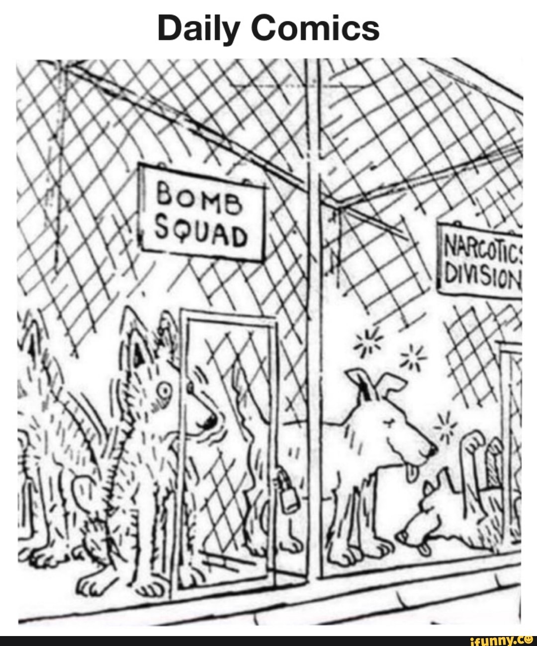 Daily Comics