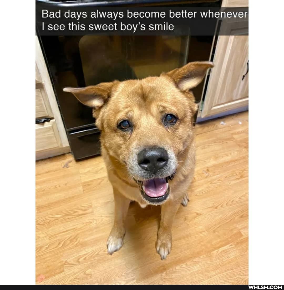 Bad days always become better whenever
I see this sweet boy's smile