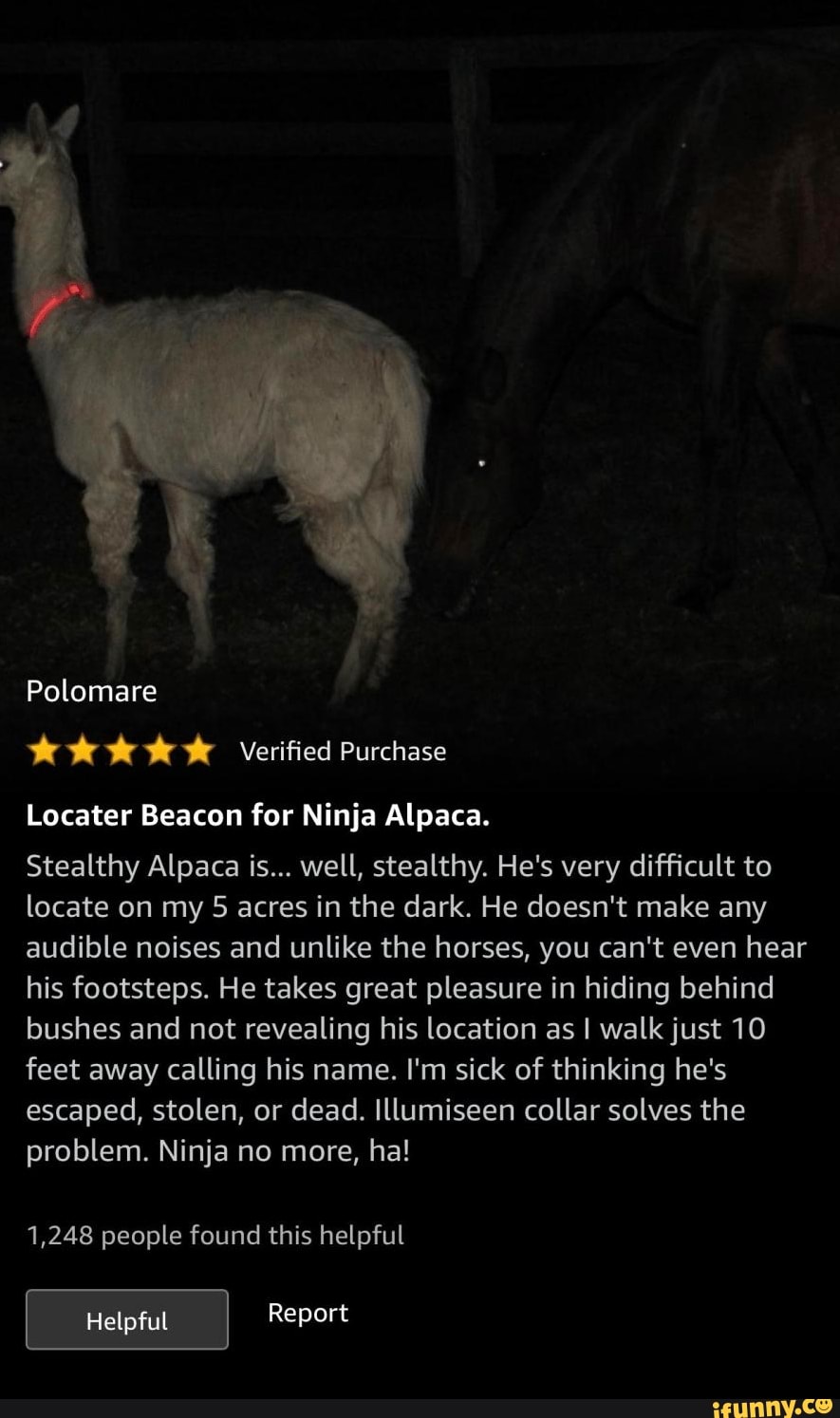 Locater Beacon for Ninja Alpaca.
Stealthy Alpaca is... well, stealthy. He's very difficult to
locate on my 5 acres in the dark. He doesn't make any
audible noises and unlike the horses, you can't even hear
his footsteps. He takes great pleasure in hiding behind
bushes and not revealing his location as I walk just 10
feet away calling his name. I'm sick of thinking he's
escaped, stolen, or dead. Illumiseen collar solves the
problem. Ninja no more, ha!