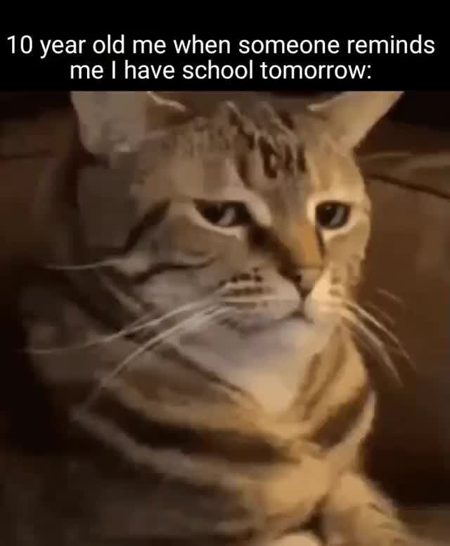 10 Year Old Me When Someone Reminds Me I Have School Tomorrow