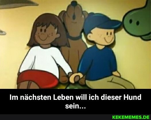 Im nächsten Leben will ich dieser Hund sein... - Im nächsten Leben will ich dieser Hund sein...