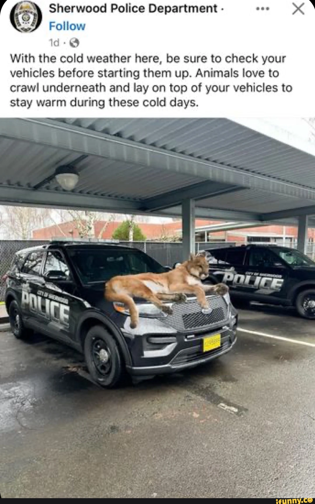Sherwood Police Department - Follow id: @ With the cold weather here, be sure to check your vehicles before starting them up. Nugget Porn Porn of people who dent have arms or legs. SSS
