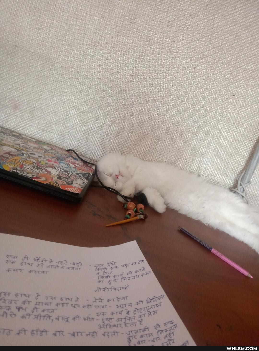 rater
ATTA, fin ger arfic qira tat a
TS FY PSY -are aetr -
Jt. "ot