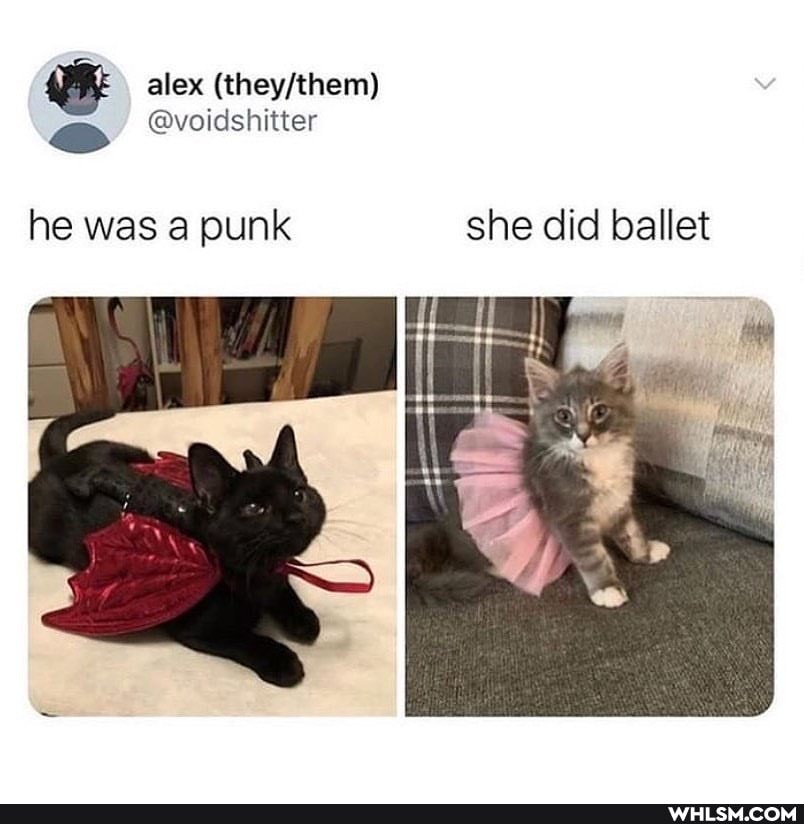 alex
@voidshitter
he was a punk she did ballet