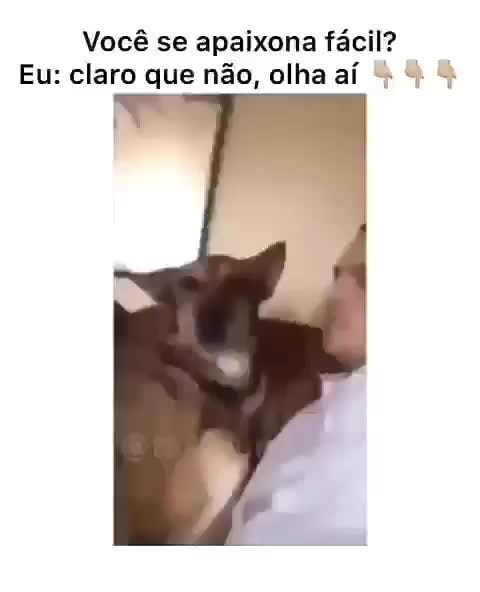 Qual animal você é quando se apaixona?