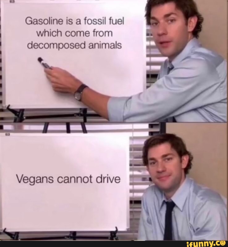 Gasoline is a fossil fuel which come from animals Vegans