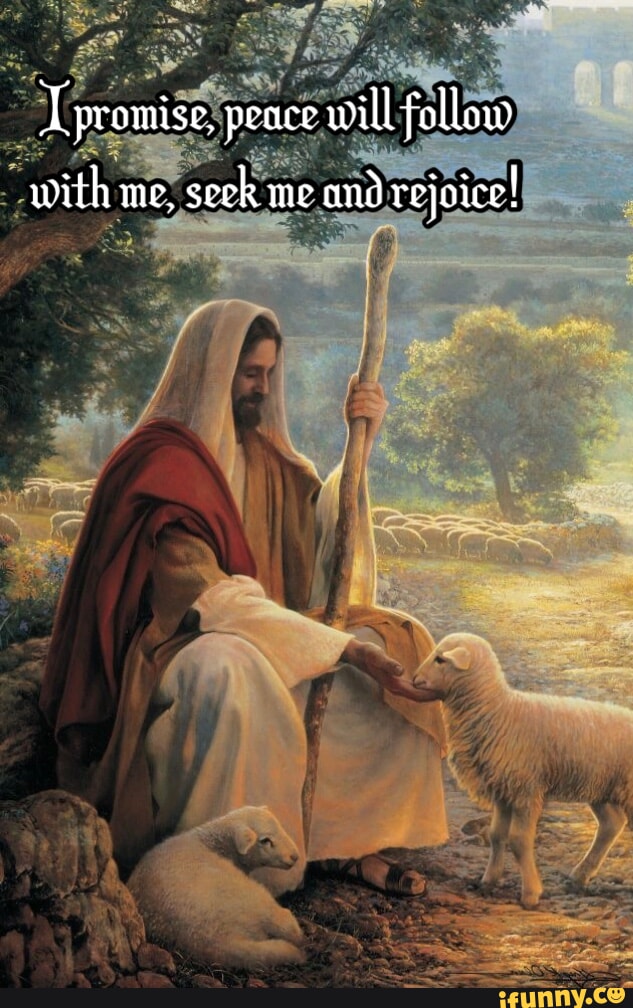 How the hell are sloths not extinct yet? righthandoftyr They aren't