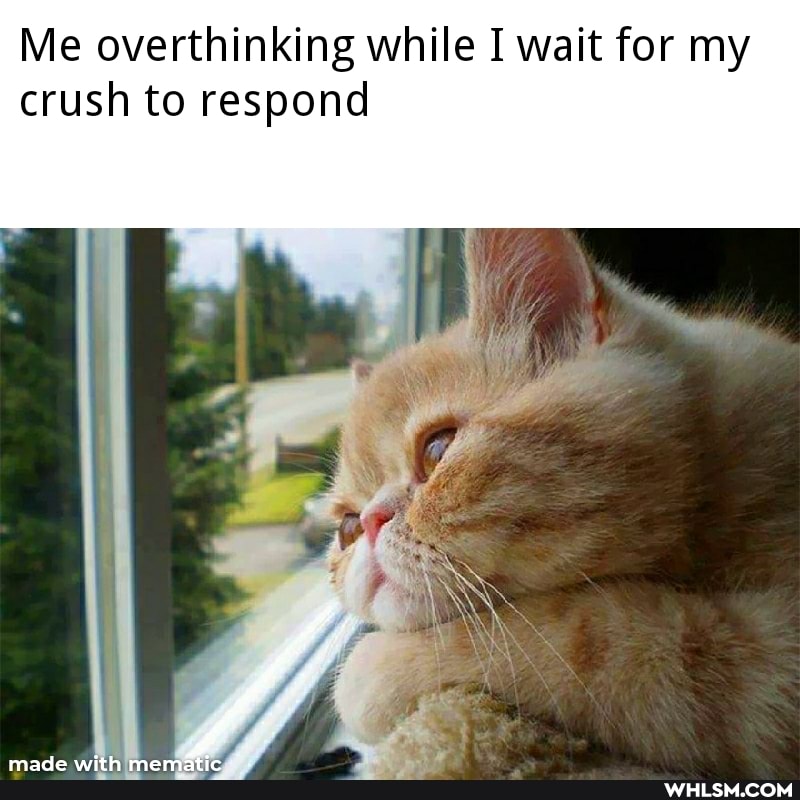 Me overthinking while I wait for my crush to respond