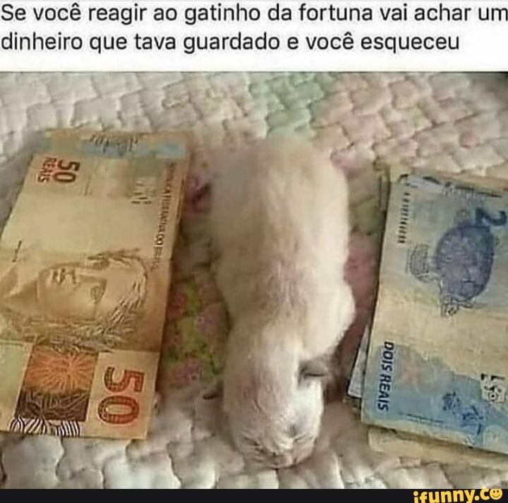 Se você reagir ao gatinho da fortuna vai achar u dinheiro que tava guardado e você esqueceu