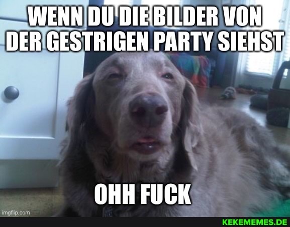 WENN DU'DIEBILDER VONIE DER GESTRIGEN PARTY SIEHST,
OHH FUCK