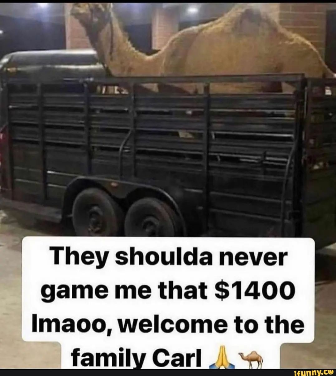 The angry black guy on tik tok realising being angry and black for 300