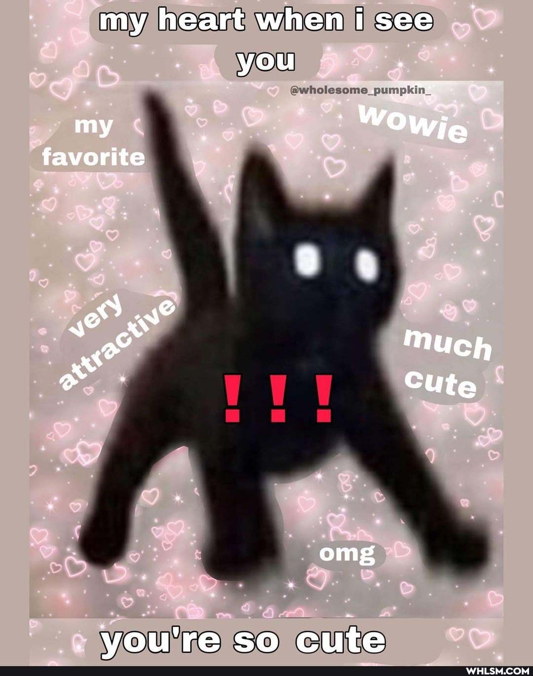 my heart when i see
my favorite
o .
you're
you
@wholesome_pumpkin
Much
Cute omg
so cute