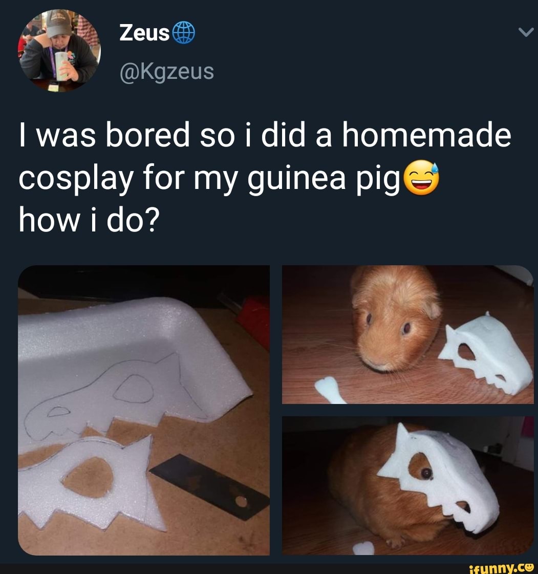 I was bored so i did a homemade
cosplay for my guinea pig