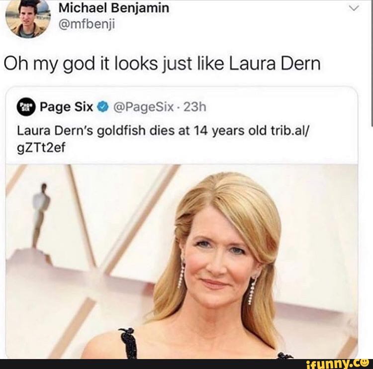 Michael Benjamin vv
@mfbenji
Oh my god it looks just like Laura Dern
Page Six @ @PageSix-
Laura Dern's goldfish dies at 14 years old trib.al/ gZTt2ef