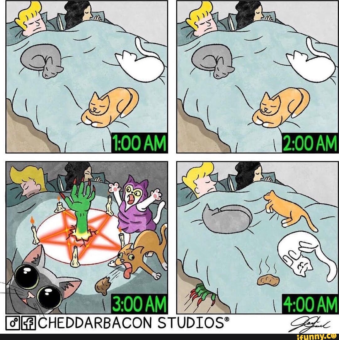 Cats descended from the most ferocious killing machines on the